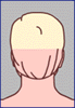 scalp