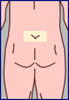 sacral region