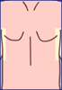 flanc