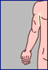 axila