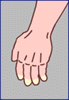 fingernail