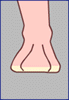 plante du pied