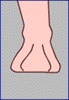 feet